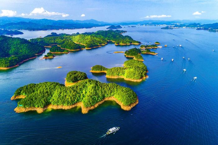 988资源网 - 专业提供各类精品源码主题定制开发服务商！